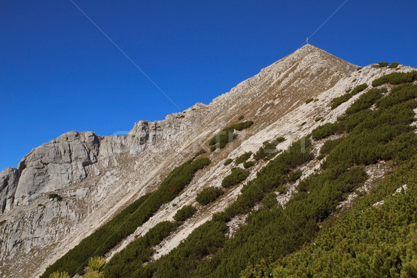 'Brunnstein Peak', Austria Stock photo © haraldmuc