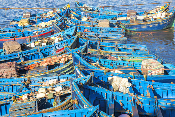 Fishing boats in Essaouira harbour, Morocco Stock photo © haraldmuc