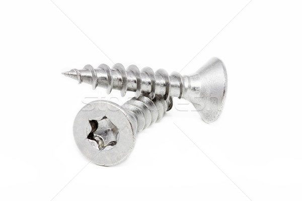 Two screws on white background Stock photo © haraldmuc