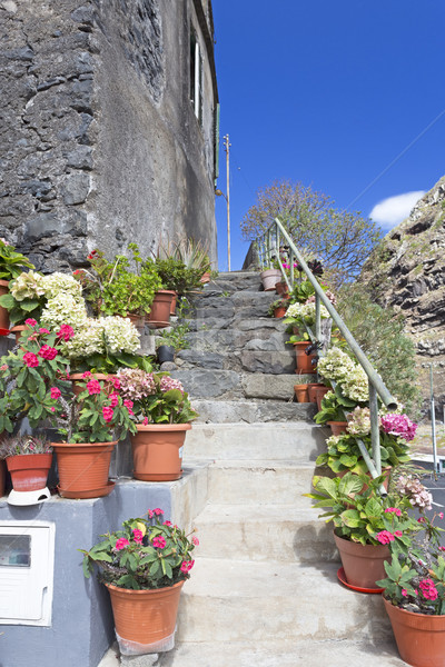 Virágok lépcsőház Madeira virág ház épület Stock fotó © haraldmuc