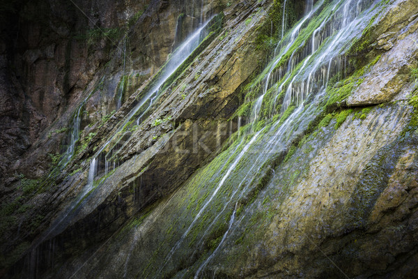 Mały wodospad alpy Niemcy wody podróży Zdjęcia stock © haraldmuc