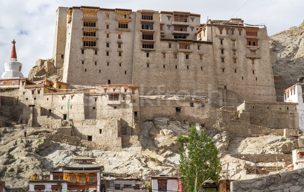 Leh palace in Leh, Ladakh, India Stock photo © haraldmuc