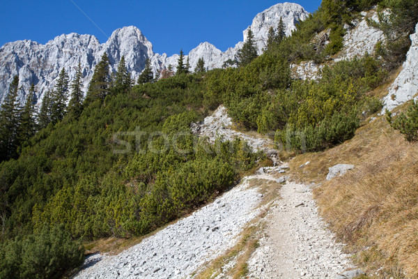 Stock photo: Hiking in the Austrian alps (Zahmer Kaiser Mountains)