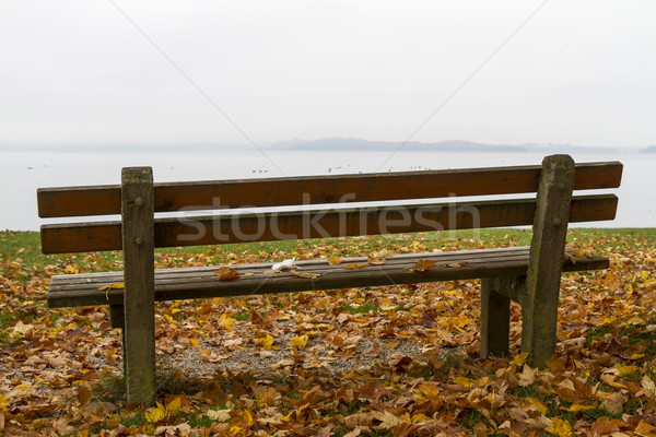Park bench on lake Chiemsee, Germany, in autumn Stock photo © haraldmuc