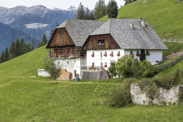 Stockfoto: Typisch · boerderij · huizen · zuiden · Italië · bouw