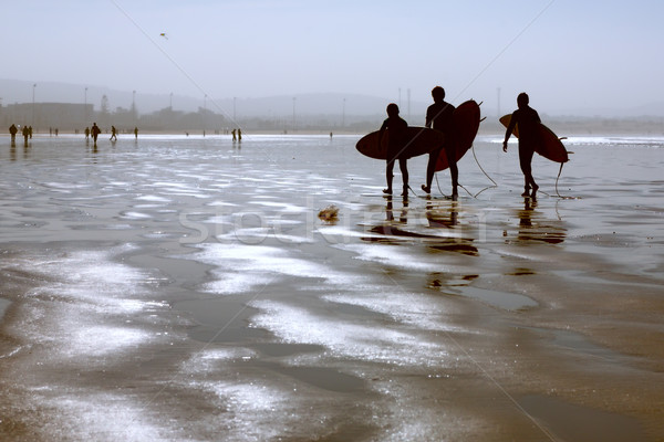 Essaouira beach, Morocco Stock photo © haraldmuc