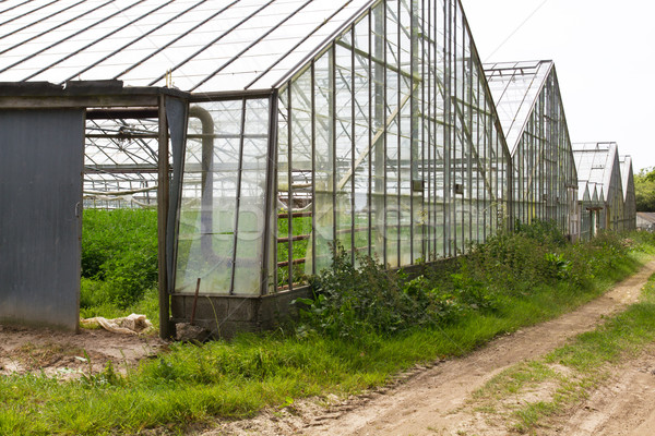 Interior of an abandoned greenhouse on Jersey, UK Stock photo © haraldmuc