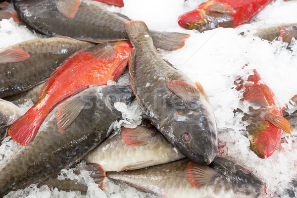 Fresh fish on display on a market Stock photo © haraldmuc