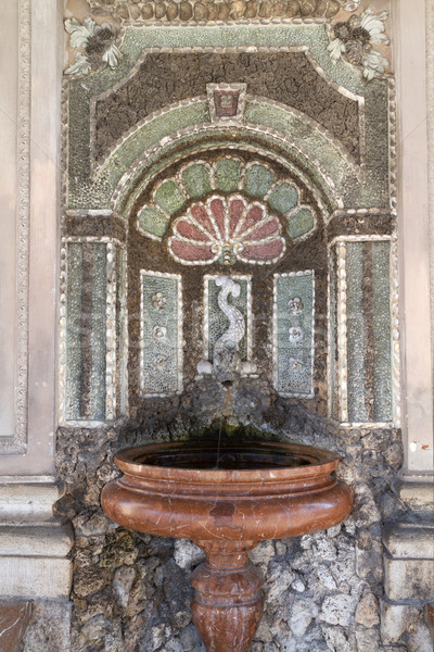 Historic fountain inside the 'Dianatempel' of the 'Hofgarten' in Munich Stock photo © haraldmuc