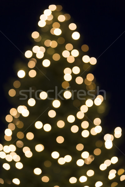 Christmas tree bokeh shot as background Stock photo © haraldmuc