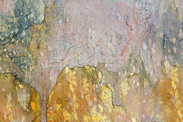 Grunge struttura costruzione muro abstract sfondo Foto d'archivio © haraldmuc
