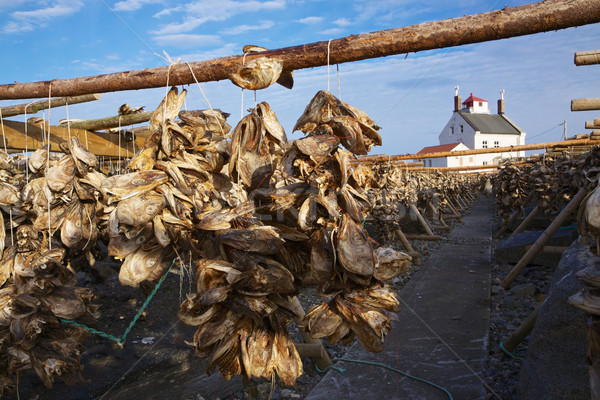 Stock fish Stock photo © Harlekino