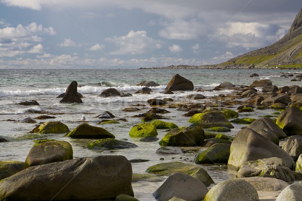 Boulders on the beach Stock photo © Harlekino