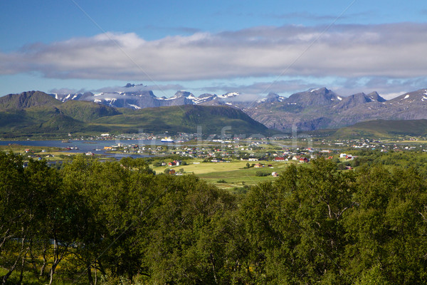Lofoten panorama Stock photo © Harlekino
