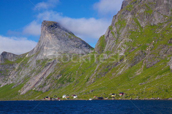 Fjord in Norway Stock photo © Harlekino