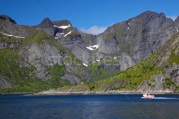 Reinefjorden Stock photo © Harlekino