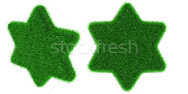 Erboso star oggetto coperto erba isolato Foto d'archivio © Harlekino
