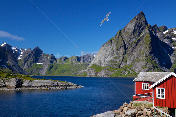 Lofoten islands Stock photo © Harlekino