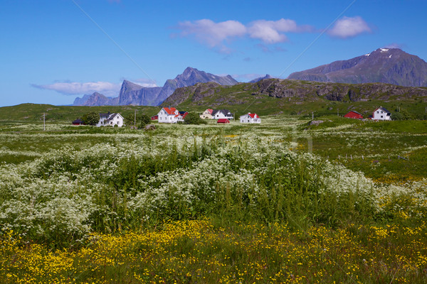 Norvég falu festői szigetek Norvégia napos Stock fotó © Harlekino