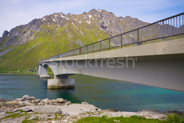 Bridge on Lofoten Stock photo © Harlekino