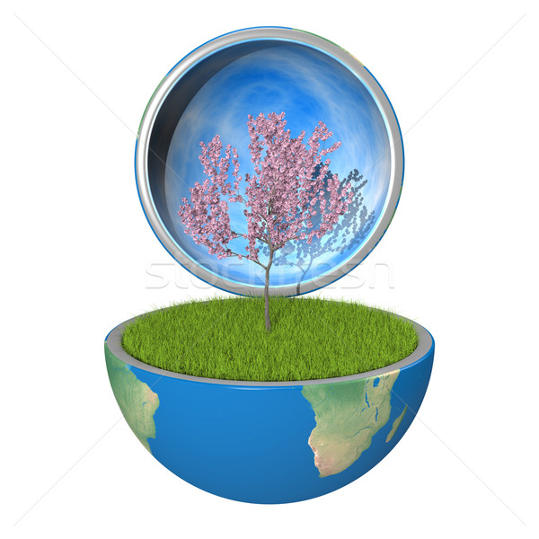Fa bent bolygó virágzó növekvő kinyitott Stock fotó © Harlekino