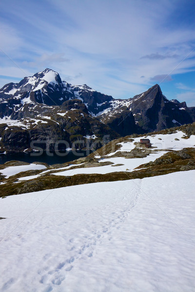 Norweski góry sceniczny widoku śniegu pokryty Zdjęcia stock © Harlekino