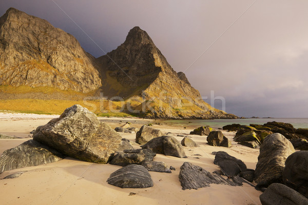 Schilderachtig strand eilanden zandstrand Noorwegen Stockfoto © Harlekino