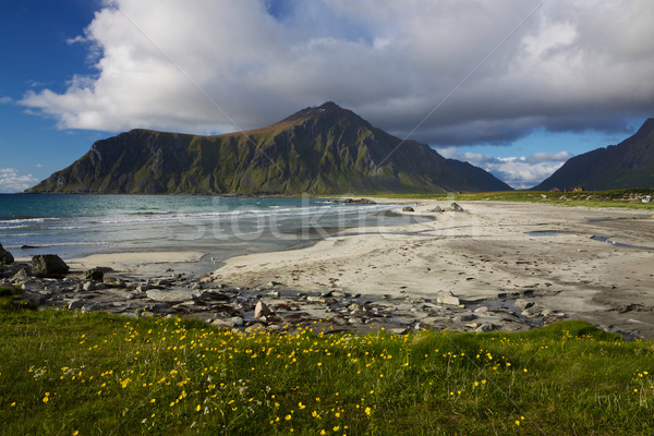 Beach on Lofoten Stock photo © Harlekino