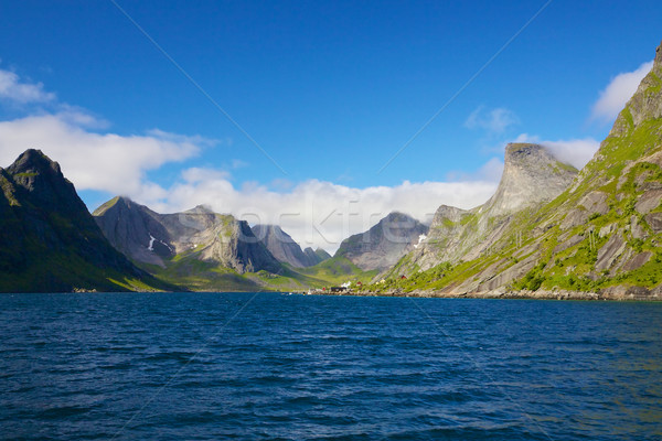 Norwegian fjord Stock photo © Harlekino