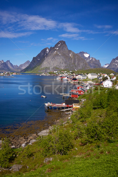 Picturesque town of Reine Stock photo © Harlekino