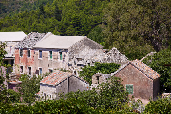 Village in Balkans Stock photo © Harlekino