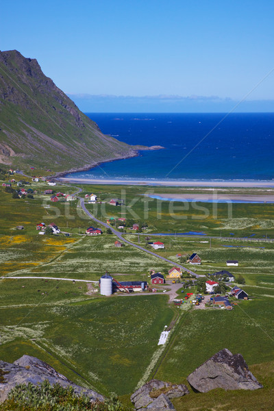 Norweski w. sceniczny widoku malowniczy dziedzinie Zdjęcia stock © Harlekino