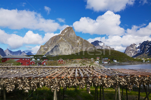 Stock fish in Norway Stock photo © Harlekino
