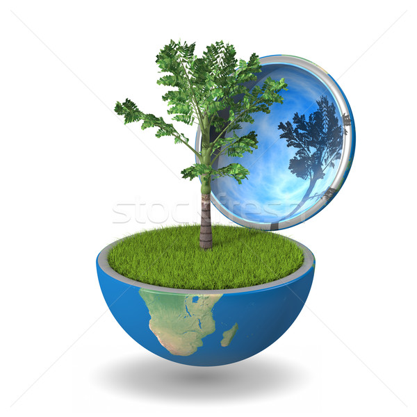 Palm tree inside planet Stock photo © Harlekino