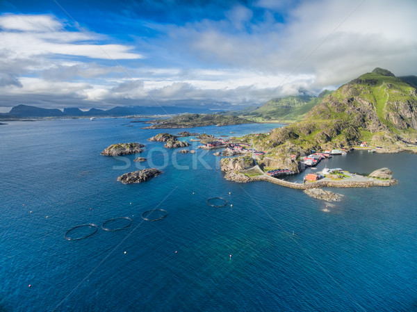 Mortsund on Lofoten Stock photo © Harlekino