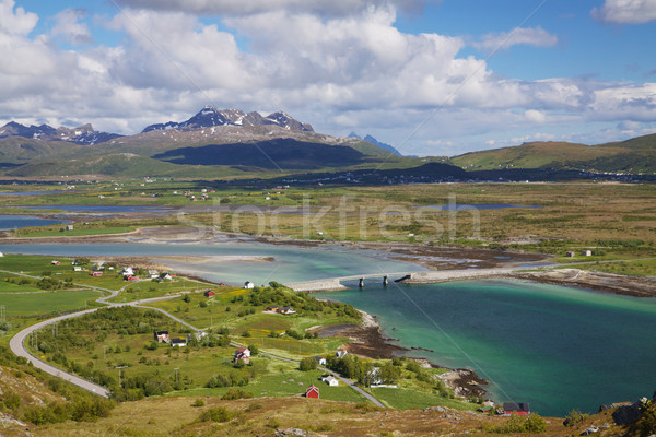 Lofoten in summer Stock photo © Harlekino