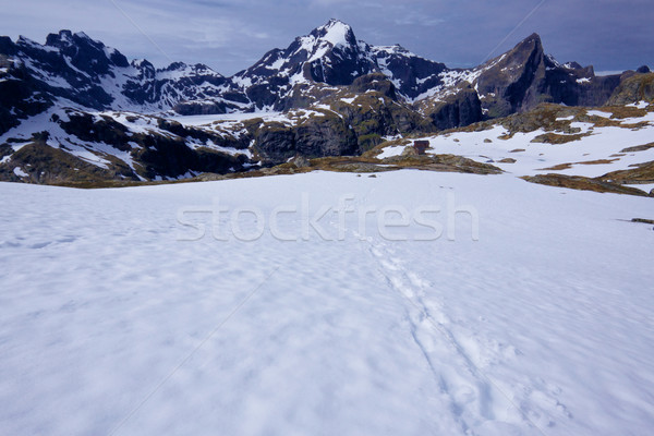ártico Noruega cênico montanhas coberto neve Foto stock © Harlekino