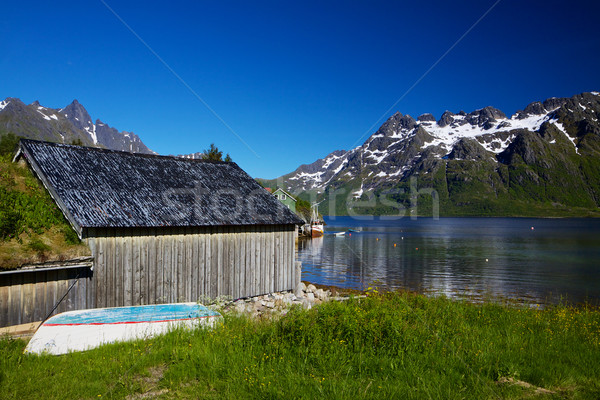 Noruego escénico tradicional paisaje Foto stock © Harlekino