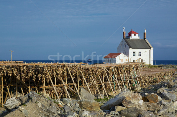 Stock fish in Norway Stock photo © Harlekino