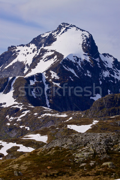 Rocky mountain Stock photo © Harlekino