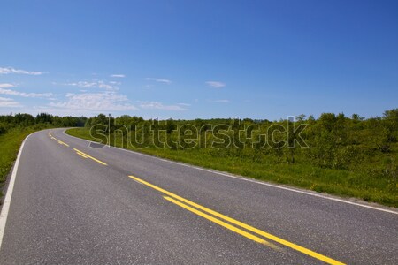 Empty road Stock photo © Harlekino