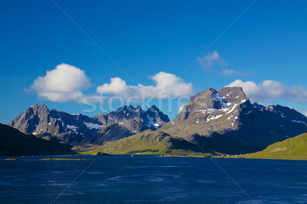 Norweski panorama malowniczy Norwegia Zdjęcia stock © Harlekino