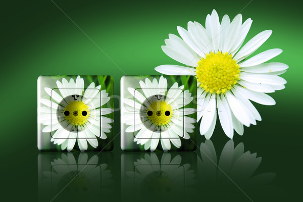 Wolna energii biały gniazdo zielone kwiat Zdjęcia stock © Hasenonkel