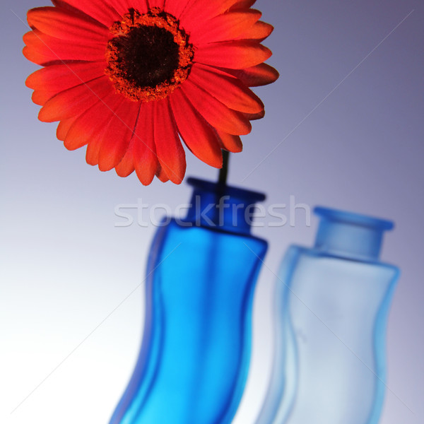 Foto stock: Flor · brillante · rojo · dos · azul · corazón