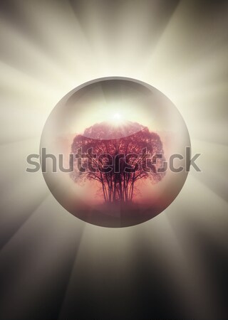 Groene oog abstract illustratie menselijke boom Stockfoto © Hasenonkel