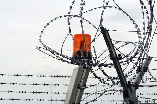 barbed wire Stock photo © Hasenonkel