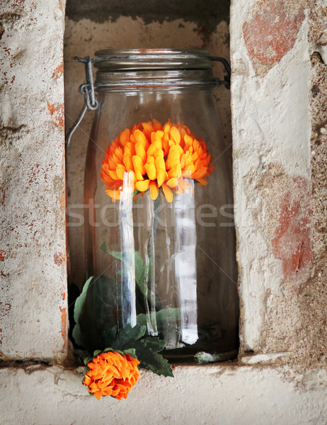 nice glass with flower Stock photo © Hasenonkel