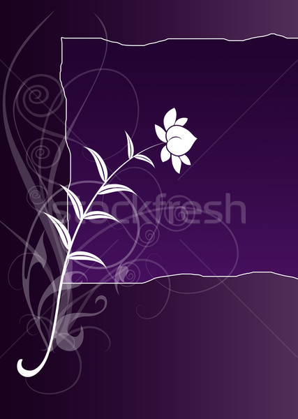 flower Stock photo © Hasenonkel