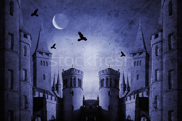 Starych zamek noc księżyc ptaków świetle Zdjęcia stock © Hasenonkel
