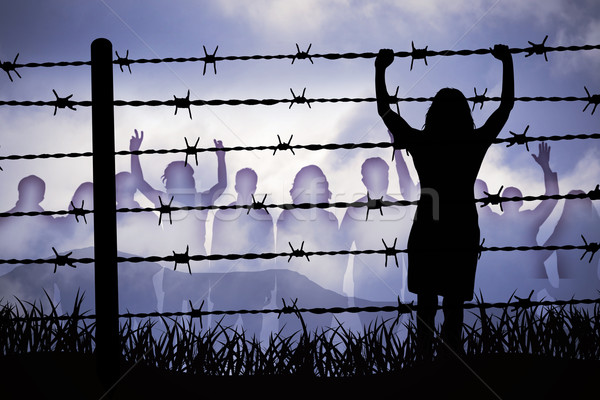 Barbed wire Stock photo © Hasenonkel